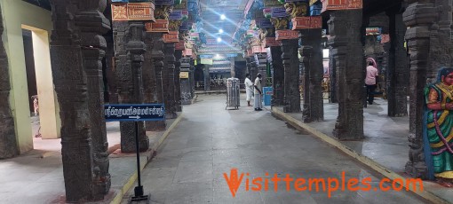 Arulmigu Naganathaswamy Temple  or Rahu Temple , Thirunageswaram, Tamil Nadu