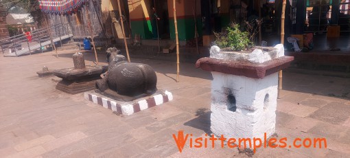 Sri Golingeswara Swamy Temple, Bikkavolu, Near Kakinada, Andhra Pradesh