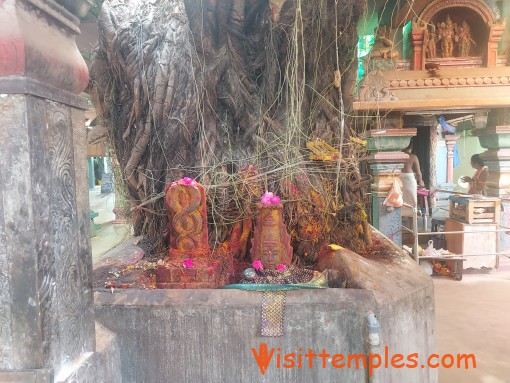 Arulmigu Muthumariamman Temple, KK Nagar, Chennai, Tamil Nadu