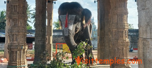 Sri Rajagopalaswamy Temple, Mannargudi, Tamil Nadu