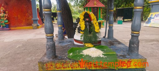 Sri Saneeswara Bhagwan Temple or Vada Thirunallar, Near Karunguzhi, Tamil Nadu