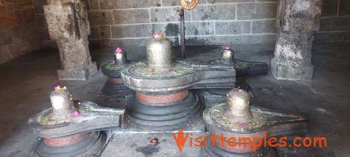 Sri Virudhagireeswarar Temple, Virudhachalam, Tamil Nadu