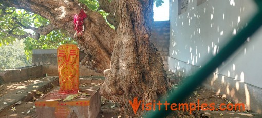 Sri Lakshmi Narasimhar Temple, Singiri Kovil, Vellore District, Tamil Nadu