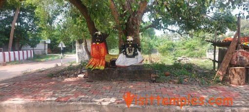 Sri Shista Gurunatha Eswarar Temple, Thiruthuraiyur, Near Panruti, Tamil Nadu