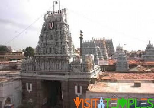 Sri Parthasarathy Temple, Triplicane, Chennai, Tamil Nadu