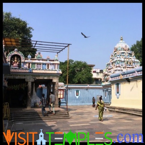 Sri Prasanna Venkata Narasimha Perumal Temple, West  Saidapet, Chennai, Tamil Nadu