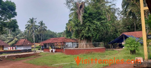 Triprangode Siva Kshetram, Triprangode, Malappuram District, Kerala